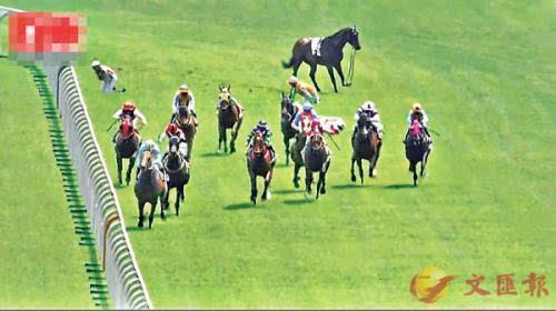 唱片骑师_香港艾曼妞_香港骑师收入