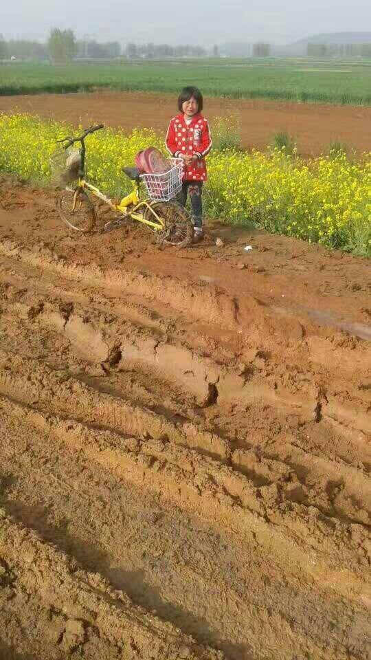乡间土路泥泞 8岁女孩骑车上学陷入泥潭无助大哭
