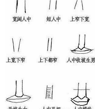 人中部位吉相是有清晰的沟洫,最佳是沟洫棱侥凶竽泻⒂遗,女性反看