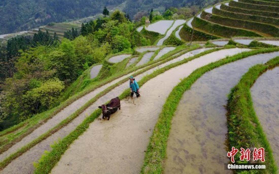 贵州榕江谷雨时节耕种忙