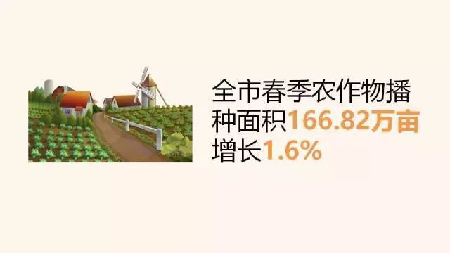 2017一季度杭州gdp_山东为何留不住毕业生(3)