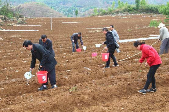 镇宁马场镇人口_镇宁马厂镇茂良村