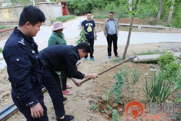 无人机开天目,空中搜寻毒罂粟