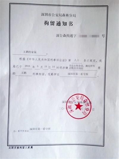 男子卖自养鹦鹉获刑5年 二审律师将作无罪辩护