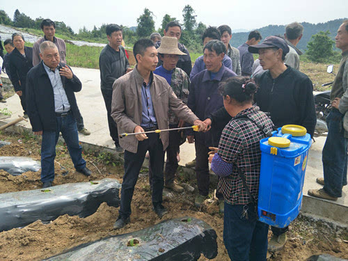 重庆市石柱县临溪镇总人口_重庆市石柱县临溪镇