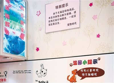 不少宠物店卖大型犬不愿挂禁养告示