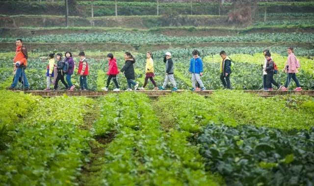 沙坪坝七彩祥耘开心农场