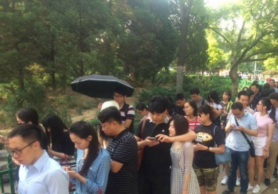 520恋人扎堆领证 民政局囍囍囍囍囍排长龙 (组图)