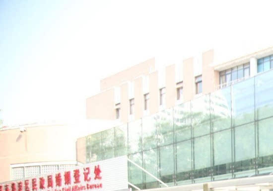 520恋人扎堆领证 民政局囍囍囍囍囍排长龙 (组图)