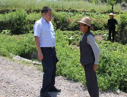 市奉节县鱼复街道党政领导班子率机关全体中层干部深入五马镇杨坪村