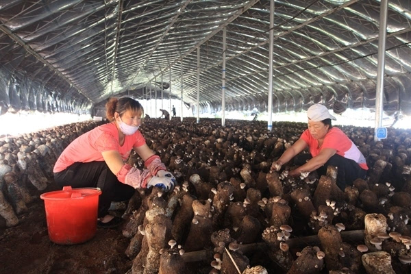 葫芦岛有多少人口_污染触目惊心 辽宁葫芦岛入海口河床成 五彩(2)