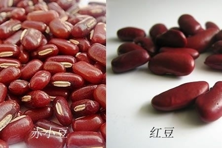 赤小豆和红豆的区别，形状口感都不同！