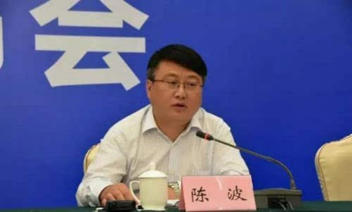 陈波出席新闻发布会