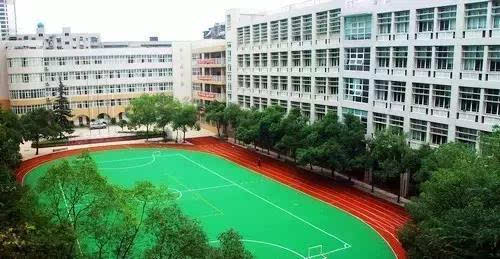 武汉这个区盛产王牌小学初中高中想当学霸的来这里就对了