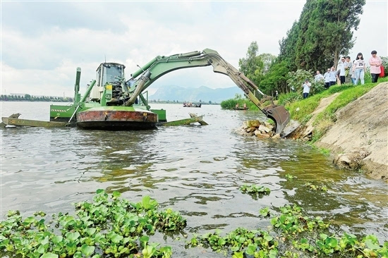 钓台排行榜_19个偷钓台摆“长蛇阵”水上挖机两小时就拆完