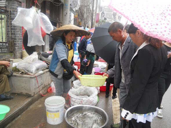 黄平县:最大的鱼苗销售市场旧州