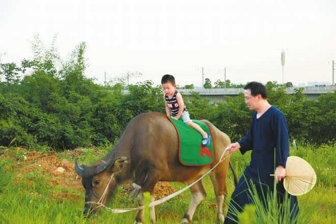 牵牛送儿子上幼儿园.