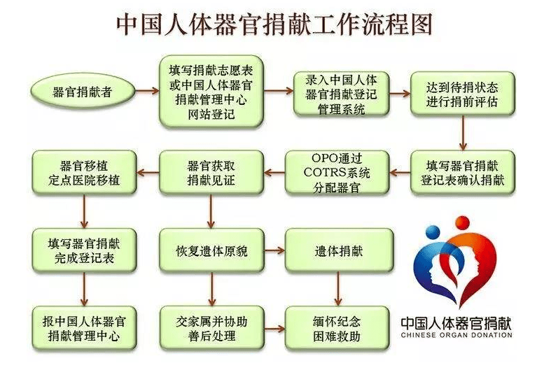 平均1个人捐,有30个人在等!中国的器官移植捐献应该怎样改革?