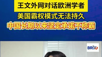 王文外网对话欧洲学者：美国霸权模式不持久，中国坚定承诺不称霸