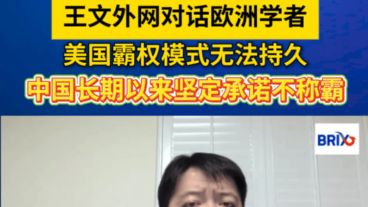 王文外网对话欧洲学者：美国霸权模式无法持久，中国长期以来坚定承诺不称霸