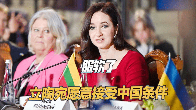 终于服软了，立陶宛总理愿意接受中国所有条件，但总统还在阻拦
