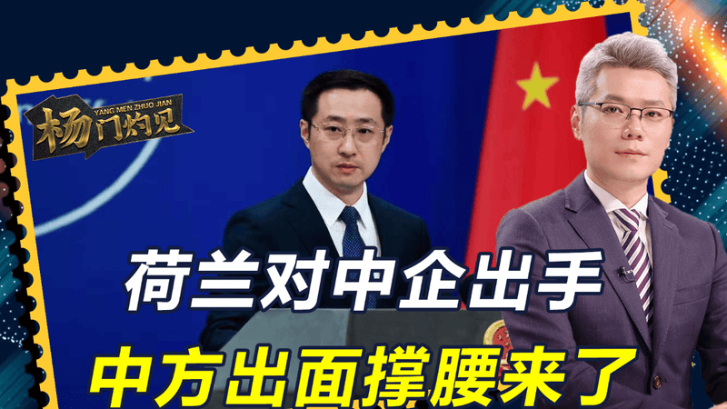 荷兰对中企出手，不到48小时，中方出面撑腰来了，一句话份量很重