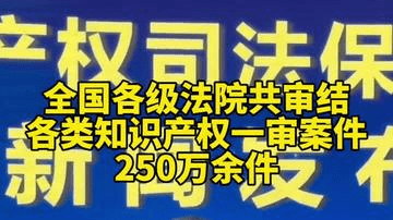 全国各级法院共审结各类知识产权一审案件250万余件