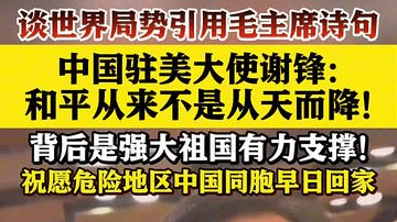中国驻美大使谢锋：和平从来不是从天而降