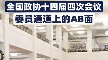 全国政协十四届四次会议，委员通道上的AB面