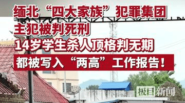 缅北“四大家族”犯罪集团主犯被判死刑、14岁学生杀人顶格判无期，都被写入“两高”工作报告！