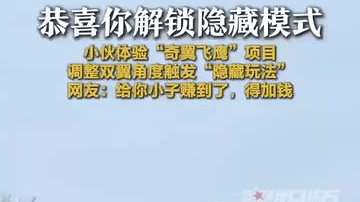 小伙体验“奇翼飞鹰”项目，调整双翼角度触发“隐藏玩法”，网友：得加钱