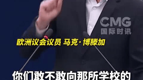 欧洲议员：西方的炸弹从未带来民主，只有破坏和死亡！