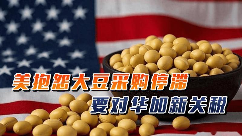 美抱怨大豆采购停滞，派军机飞越台海，要对华加新关税，中方回击