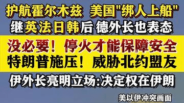 美国施压北约护航霍尔木兹海峡 德国：没必要！