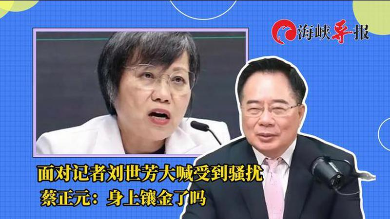 民进党高官面对记者大喊受到骚扰，蔡正元讽：身上镶金了吗