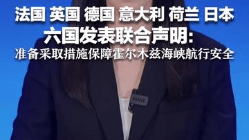 法国、英国、德国、意大利、荷兰、日本 六国发表联合声明：准备共同采取适当措施 保障霍尔木兹海峡的航行安全