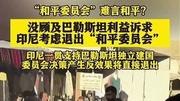 印尼考虑退出所谓“和平委员会”