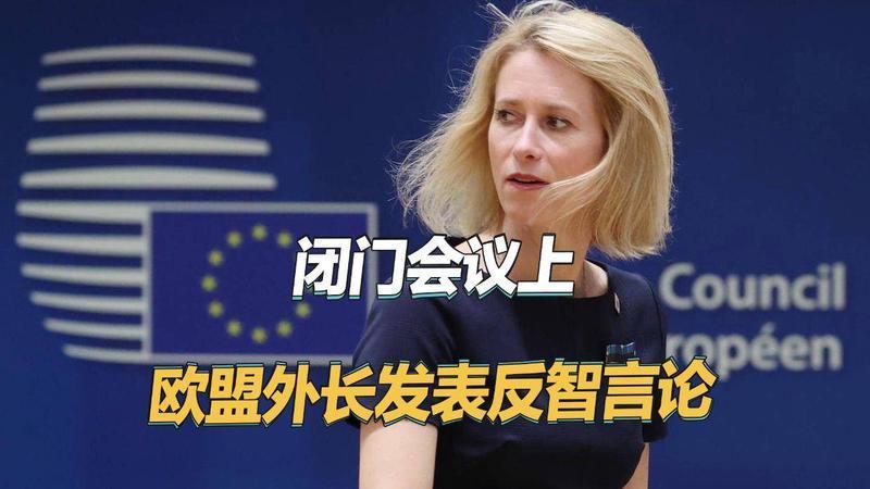 把美伊战争比喻成谈恋爱，欧盟外长在闭门会议上，又发表反智言论