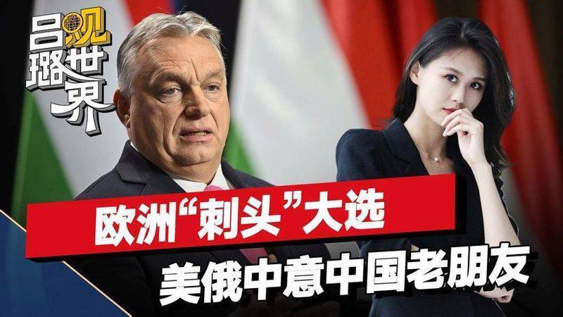 欧洲“刺头”大选，欧盟坐不住，美俄中意的人选，也是中国老朋友