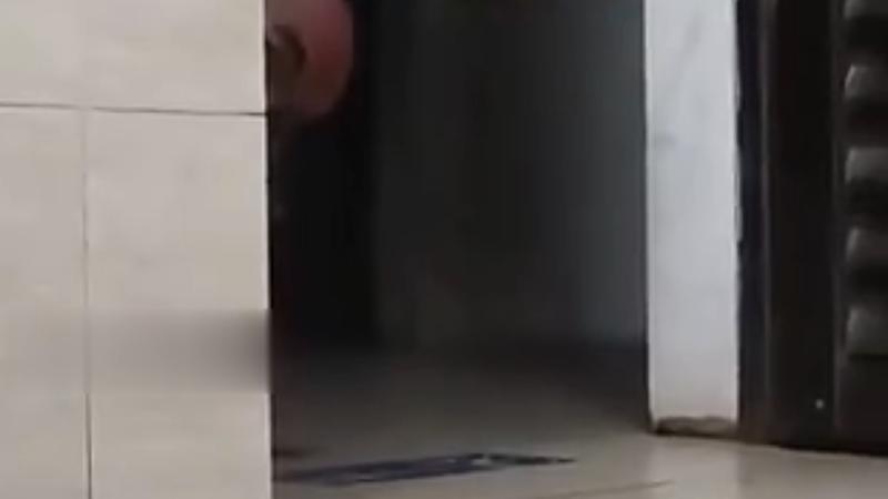“真的汗毛都竖起了”！女子如厕被尾随，准备拍摄留证时，男子突然探头