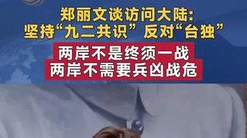郑丽文谈访陆:坚持“九二共识” 反对“台独”两岸不是终须一战