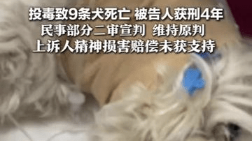 投毒致9条犬死亡 被告人获刑4年 民事部分二审宣判 维持原判 上诉人精神损害赔偿未获支持“案件一直广受关注 被看见就是赢”