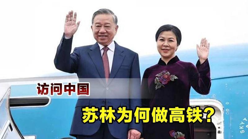 订单给了德国，苏林访问中国，为何还要坐10多个小时高铁？