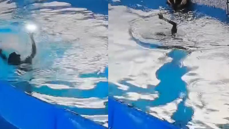 女子在游泳馆水深1米区下水后，身体不断挣扎3次起身未果，网友发声警惕