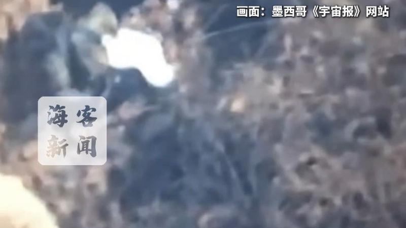 航拍画面曝光：墨西哥军方出动数架直升机 逮捕2名贩毒集团头目