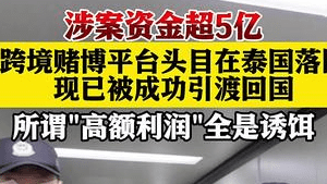 涉案超5亿！重大跨境网赌案主犯被引渡回国
