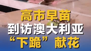 现场视频！高市早苗下跪献花