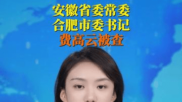 费高云涉嫌严重违纪违法