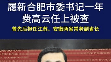 中纪委打“虎”：履新合肥市委书记一年，费高云任上被查