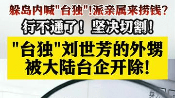 大陆台资企业：解除台独刘世芳亲属全部职务